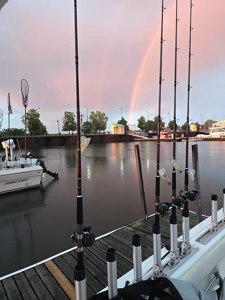 JustWalleye.com - Lake Erie Charter Service - 330-309-5734